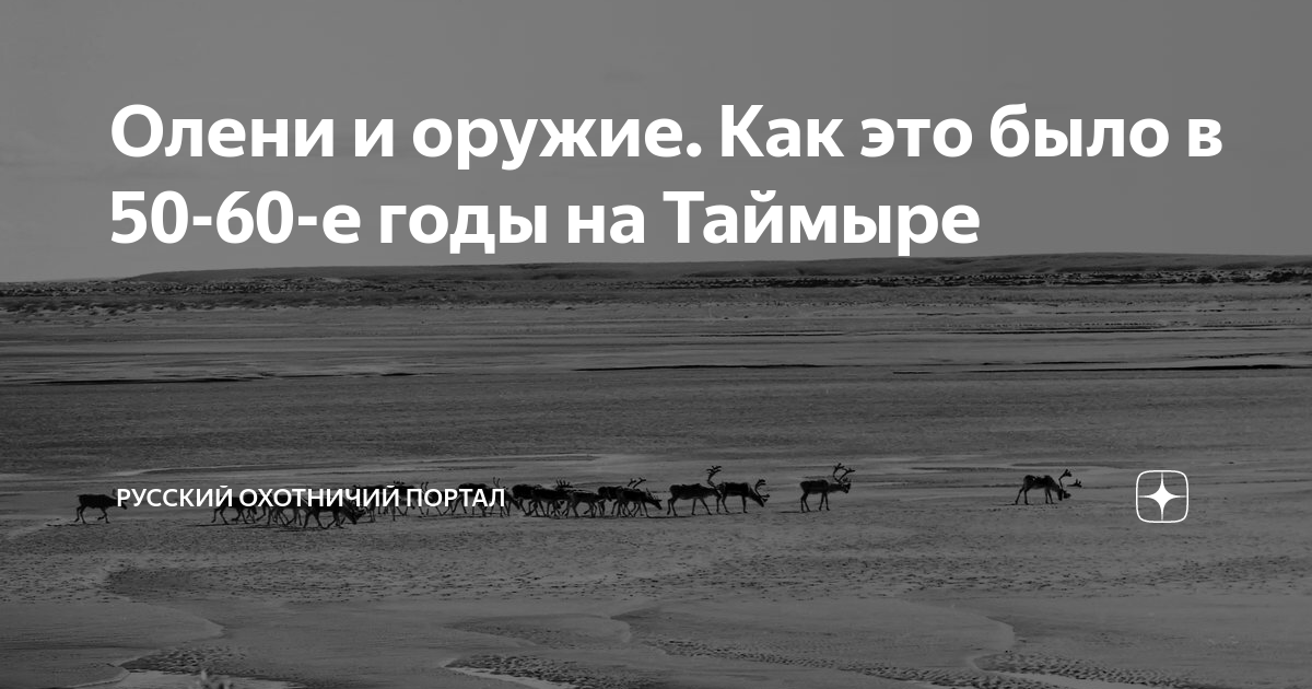 Олени и оружие. Как это было в 50-60-е годы на Таймыре | Русский ...