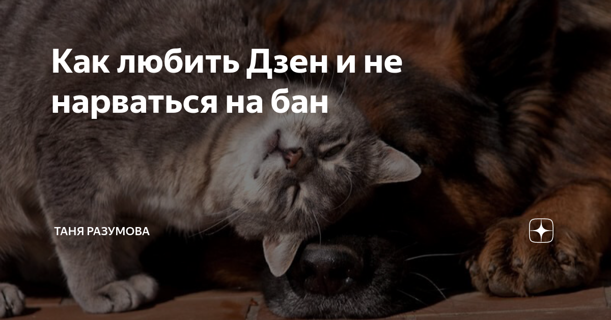 Добрый дзен дзен добрый. Буддийская мудрость. Я его любила дзен. Я его любила дзен. Человеческая мудрость.