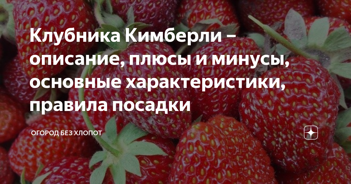 30 отзывы садоводов