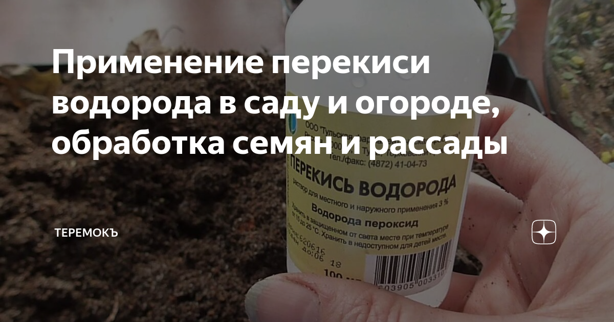 Перекись водорода для огорода применение. Перекись водорода на огороде. Применение перекиси водорода в саду и огороде. Обработать семена перекисью водорода. Перекись для растений применение в саду и огороде.