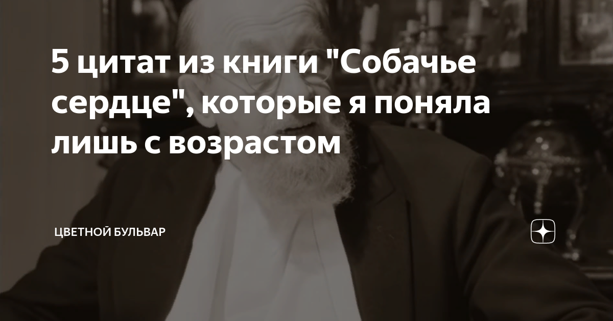 5 цитат из книги "Собачье сердце", которые я поняла лишь с возрастом ...