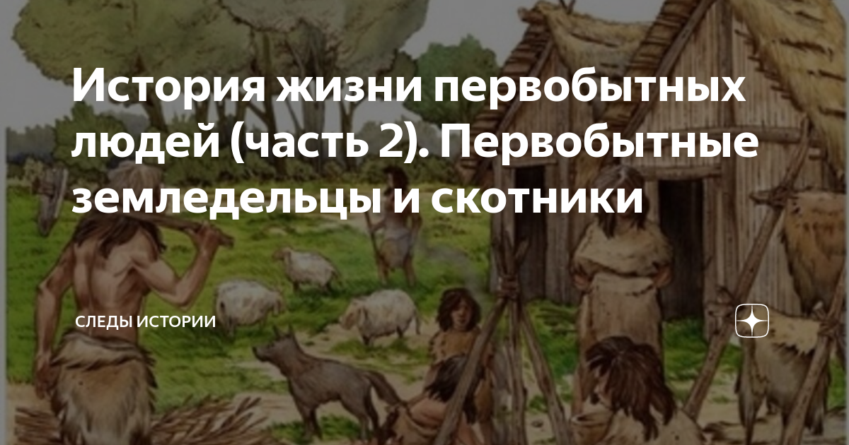 Лекция 6. Жизненные формы как отражение условий среды и отношений в фитоценозе