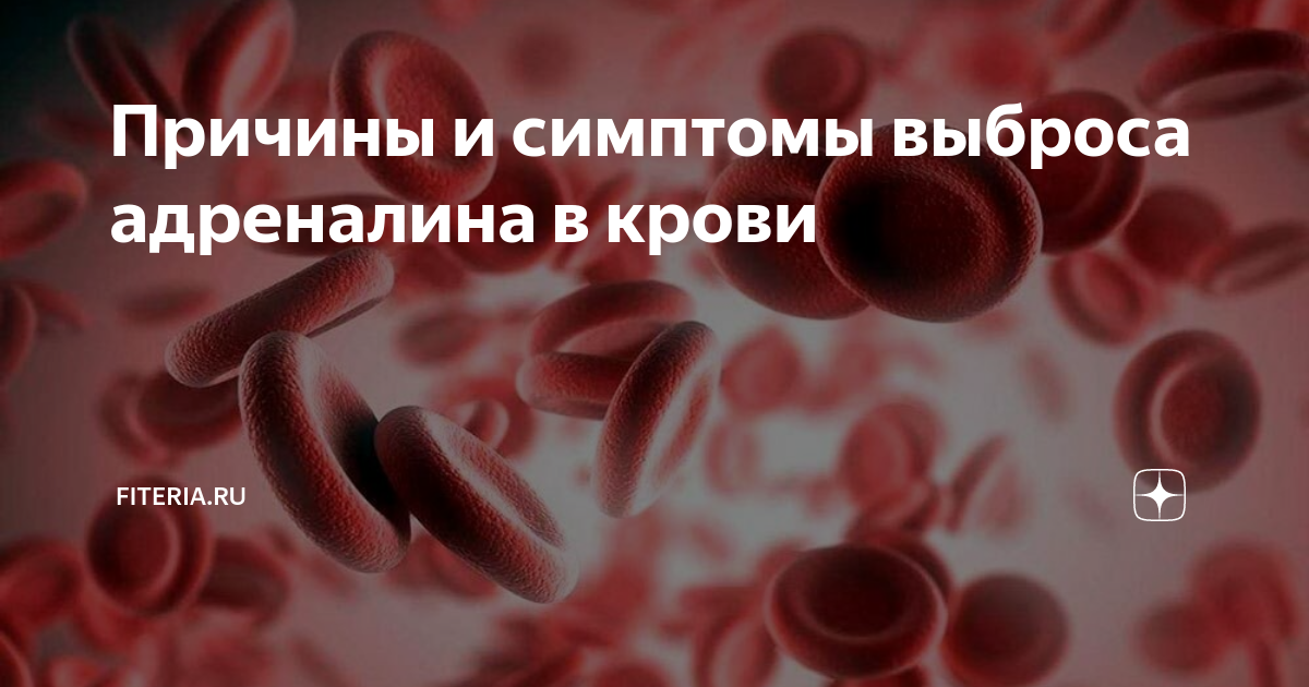 Адреналин и норадреналин в крови, сдать анализ в Сухиничах | Цена в Гемотест