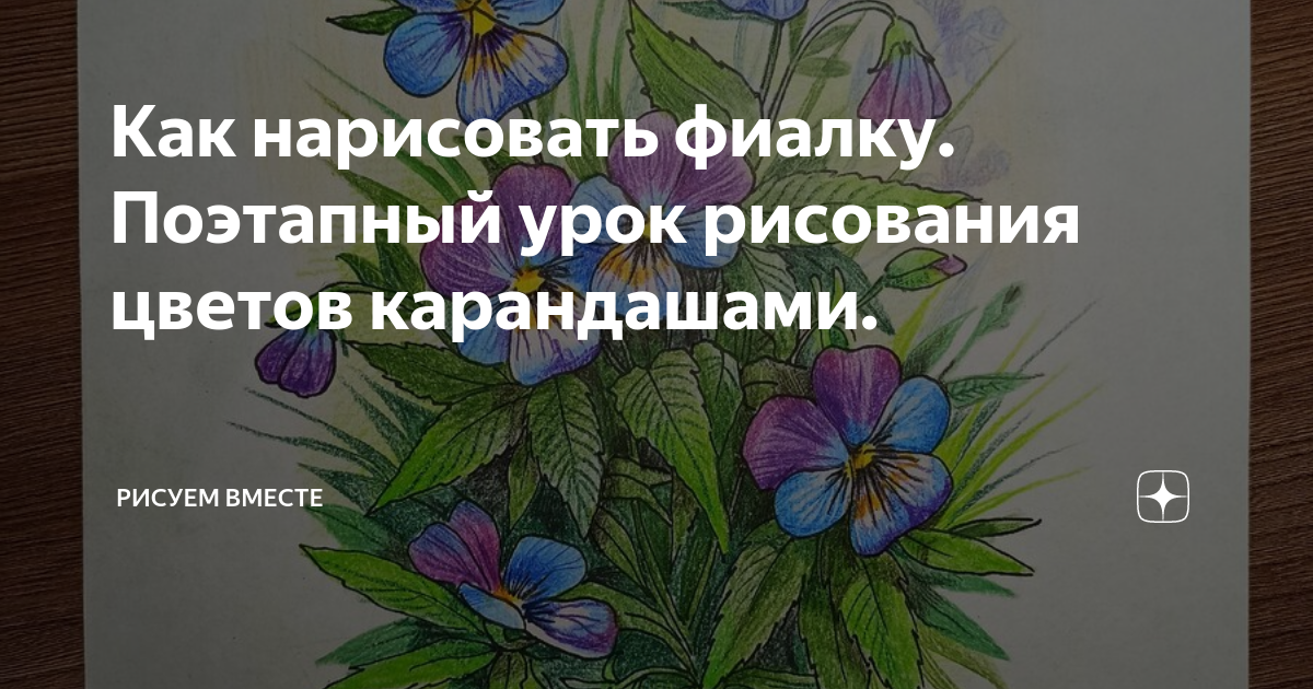 Как нарисовать фиалку карандашом поэтапно