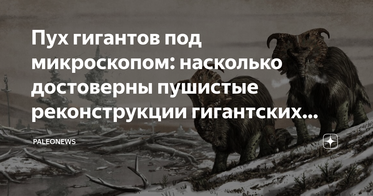 Ответы карусель-нн.рф: Проверочная работа по географии. 8 класс