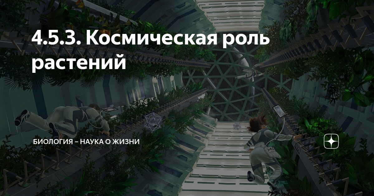 Биохимическая сущность фотосинтеза и космическая роль зелёных растений (mupbtibataysk.ruзев) — Студопедия