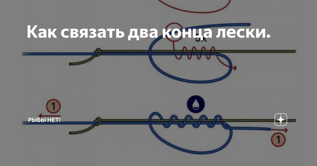 Как привязать поводок к основной леске: чтобы он не путался