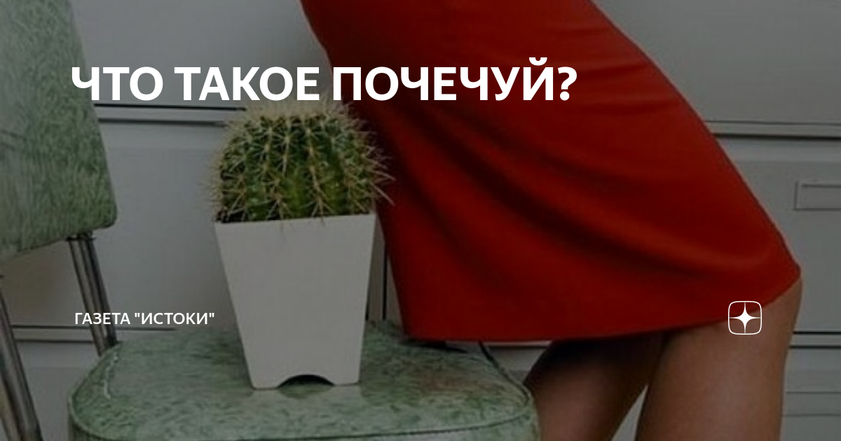 ЧТО ТАКОЕ ПОЧЕЧУЙ? | газета "ИСТОКИ" | Дзен