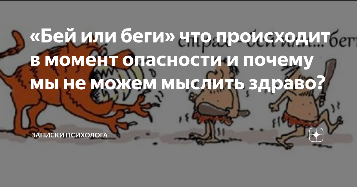 реакция на стресс бей беги замри. беги или сражайся. беги или сражайся. беги или сражайся. бей или беги.