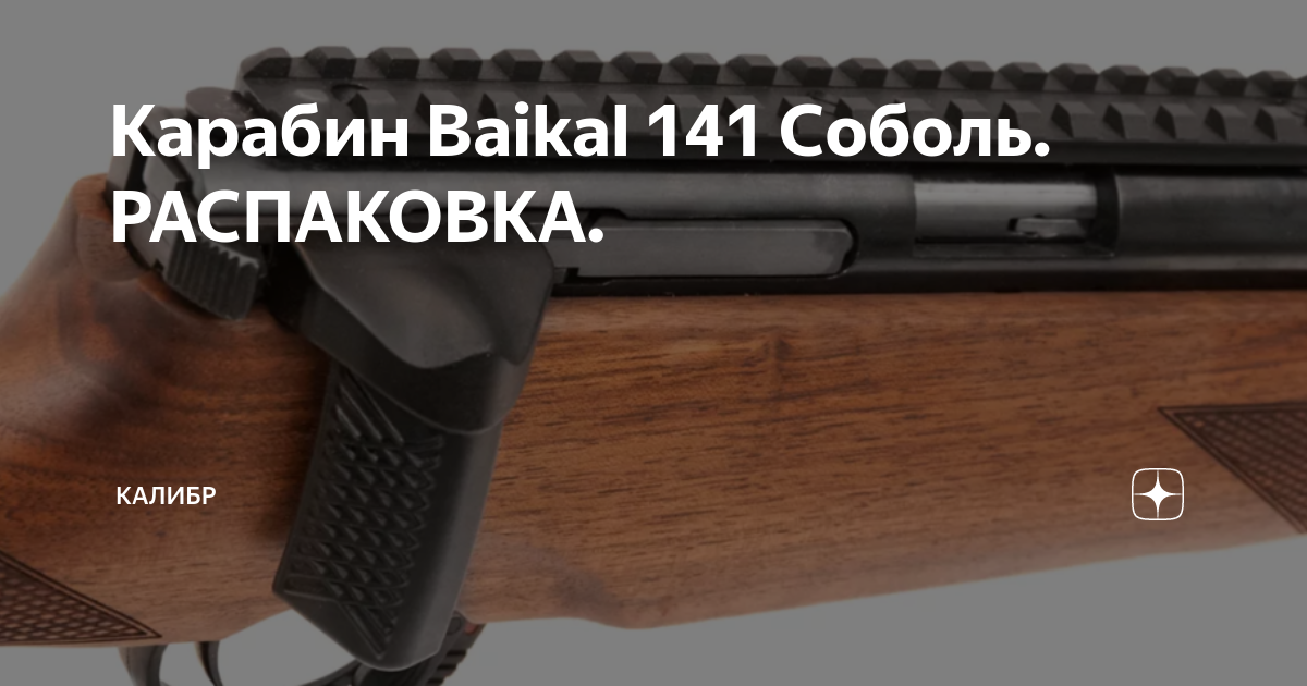 Карабин соболь 141. Карабин Соболь 22lr Байкал 141. Карабин Соболь 141 к.22lr. Baikal 141 Соболь кал. 22lr. Карабин Baikal Соболь 141 22 LR.