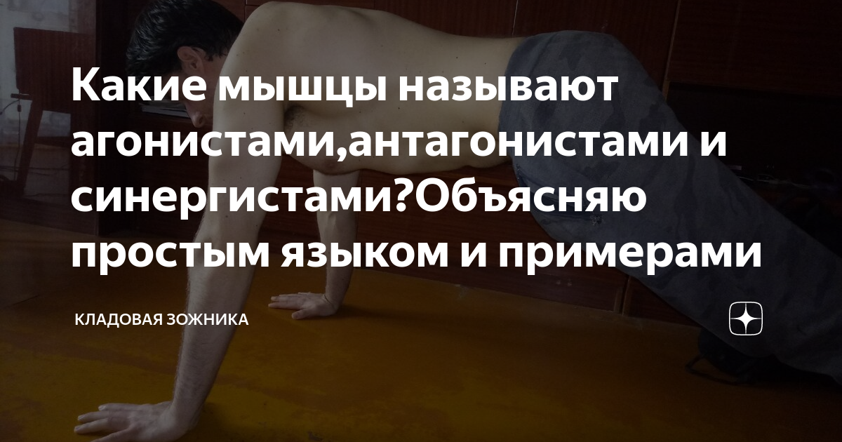 Какие мышцы называют антагонистами примеры Человек Пикабу