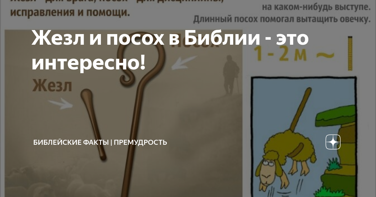 Посох асклепия древняя греция. Русская школа таро расклады. Русская школа таро расклады. Асклепий посох и змея. Происхождение медицинских символов.