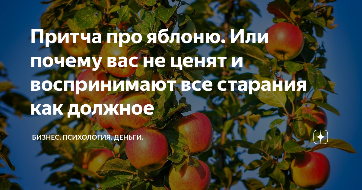 Ведро яблок притча однкнр. Притча о яблоне. Притча про яблоки. Притча про яблоки и яблони. Притча про яблоньку.