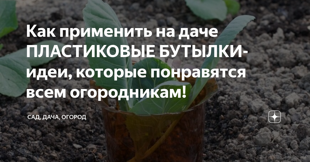 Как применить на даче ПЛАСТИКОВЫЕ БУТЫЛКИ- идеи, которые понравятся ...
