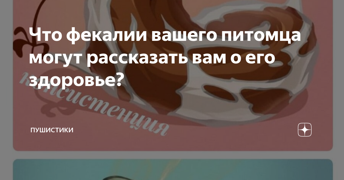 Что фекалии вашего питомца могут рассказать вам о его здоровье ...