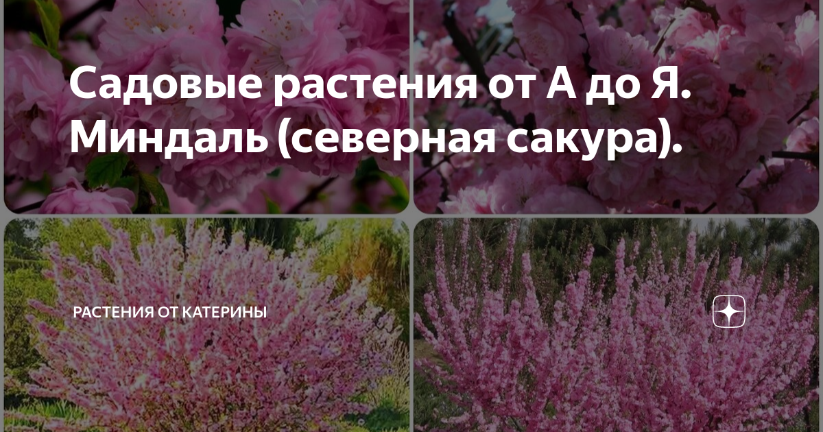 Для флористики: искусственные цветы и фрукты, украшения, игрушки