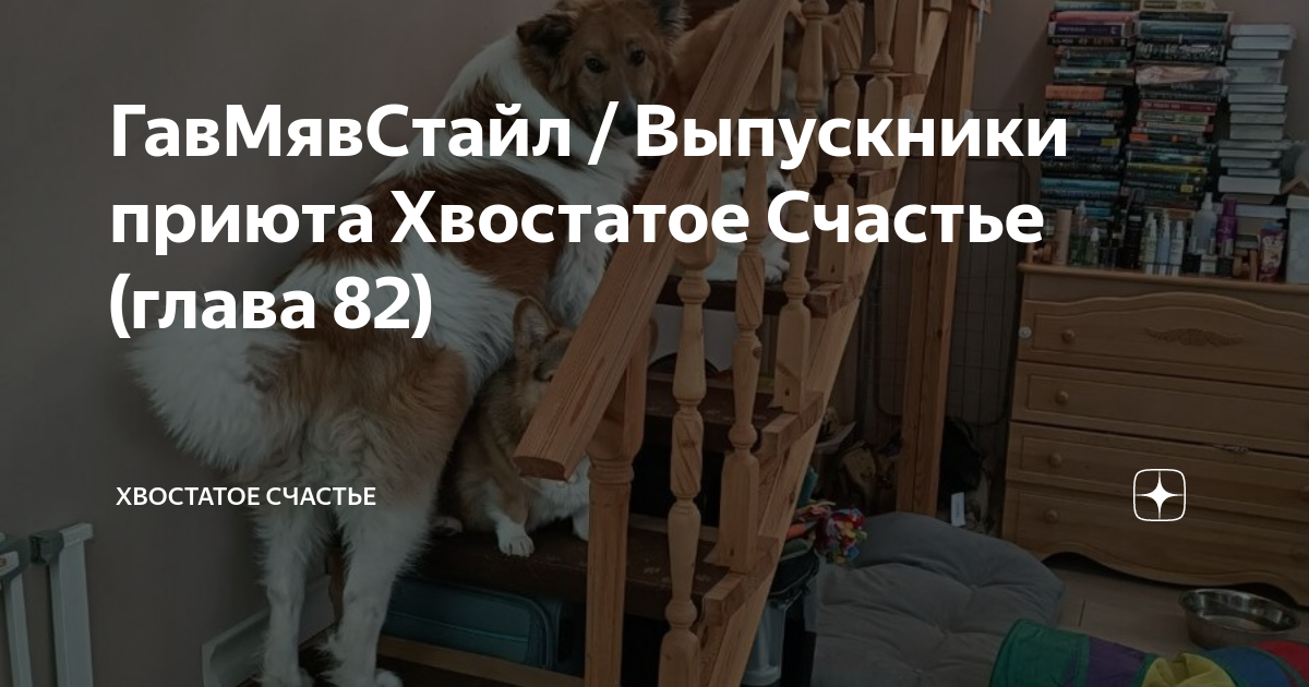 Хвостатое счастье дзен баня