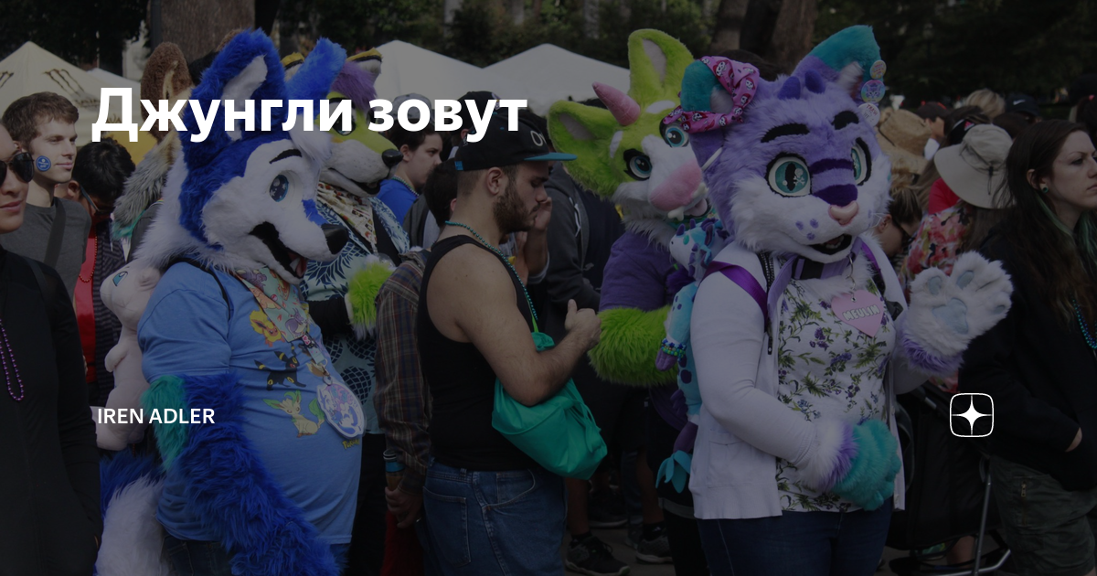 Adler дзен канал. Adler дзен канал. Adler дзен канал. Adler дзен канал. Adler дзен канал.