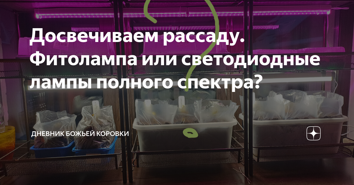 Досвечиваем рассаду. Фитолампа или светодиодные лампы полного спектра ...