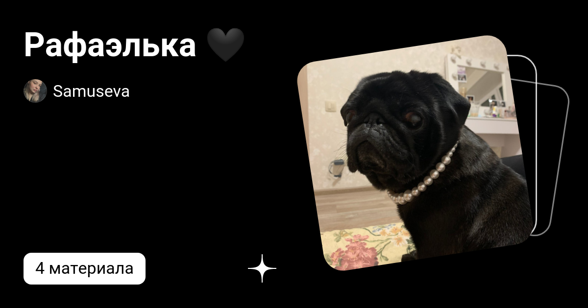 Рафаэлька 🖤 | Samuseva | Дзен