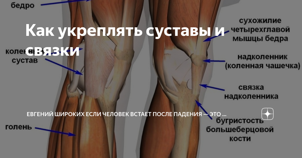 Как восстановить суставы