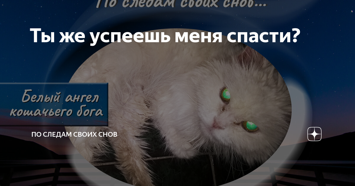 По следам своих снов читать. По следам своих снов читать