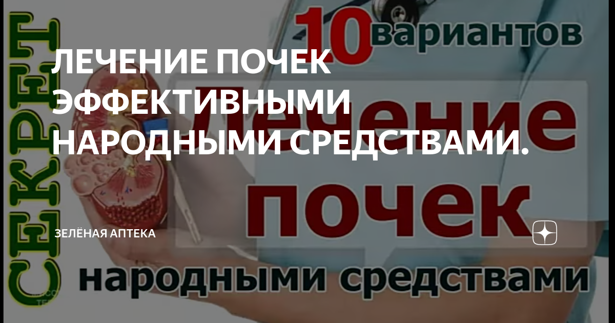 как лечить почки народными средствами | Дзен