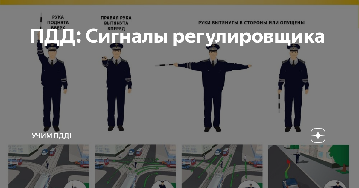 ПДД: Сигналы регулировщика | Учим ПДД! | Дзен