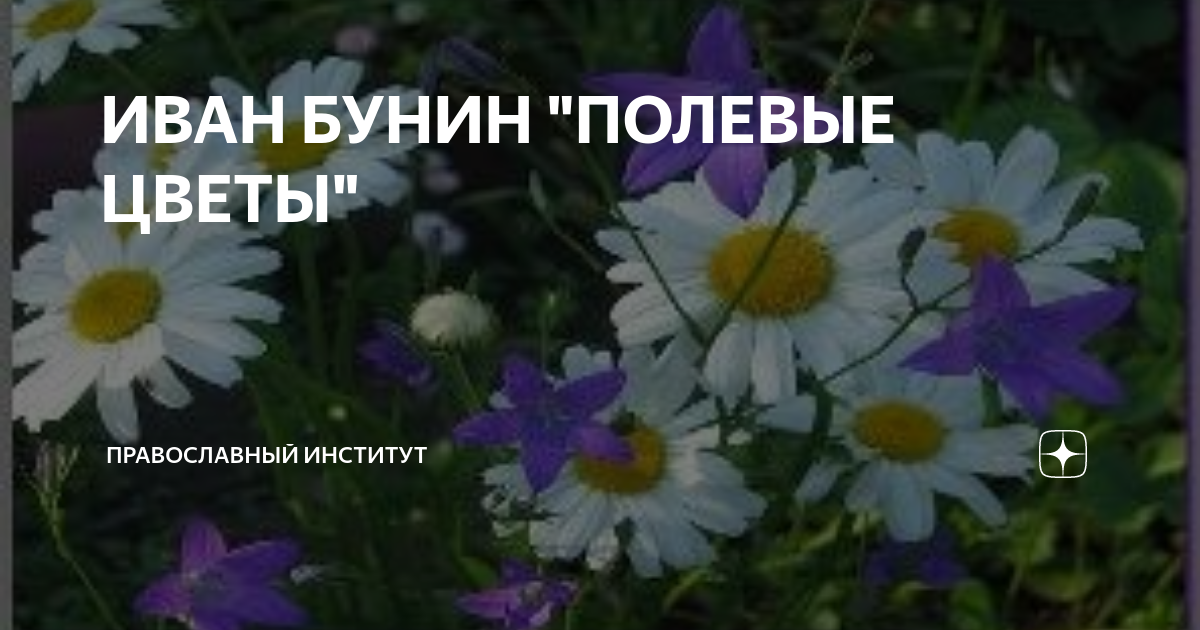 Бунин рабочие листы полевые цветы. Бунин полевые цветы стихотворение. Бунин полевые цветы 1901. Иван бунин полевые цветы стихотворение. Бунин рабочие листы полевые цветы.