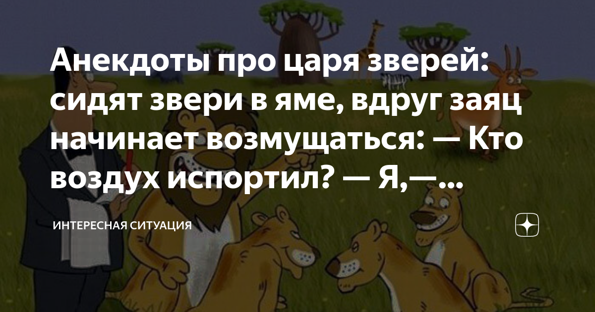 Кто насрет 4 тонны. Анекдот про Льва царя зверей. Анекдот про зверей в яме. Анекдот про Льва и зайца. Анекдот про Льва и зайца царь зверей.