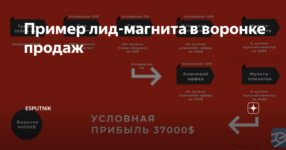 Лид магнит образец