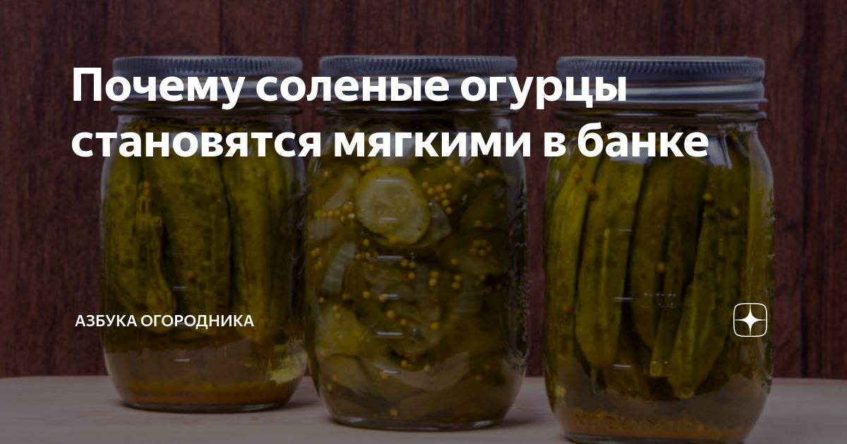 Эти ошибки при консервировании огурцов испортят всю закуску: не делайте так