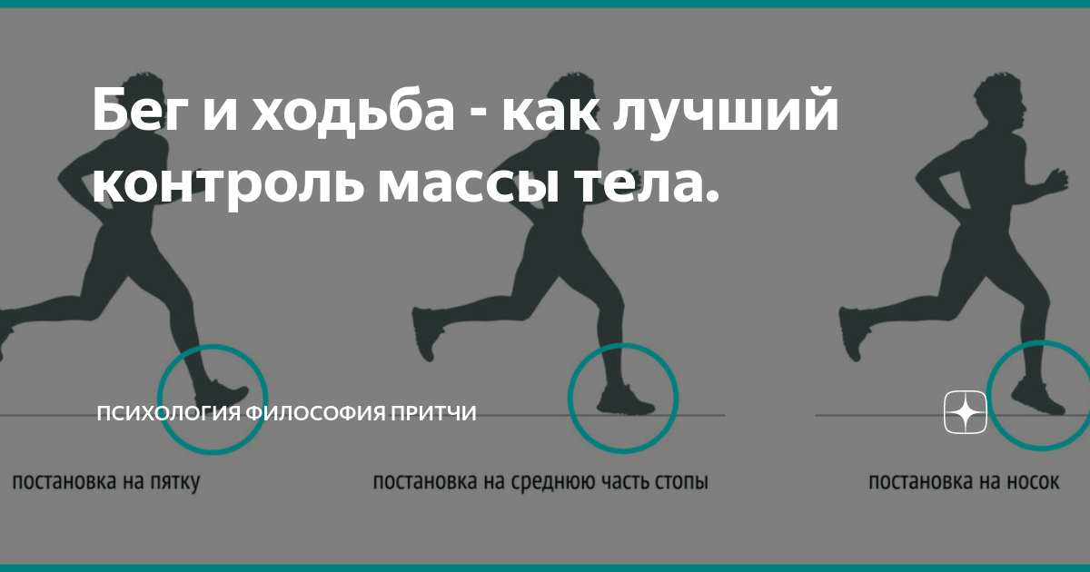 Чем можно заменить ходьбу в домашних условиях Nordic Fit Behance