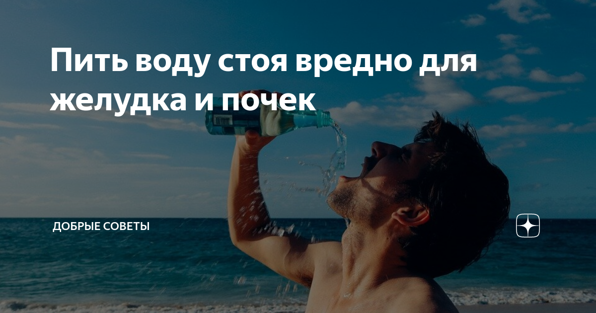 Почему нельзя пить воду стоя. Почему воду нужно пить сидя. Пить воду сидя или стоя. Как лучше пить воду стоя или сидя.