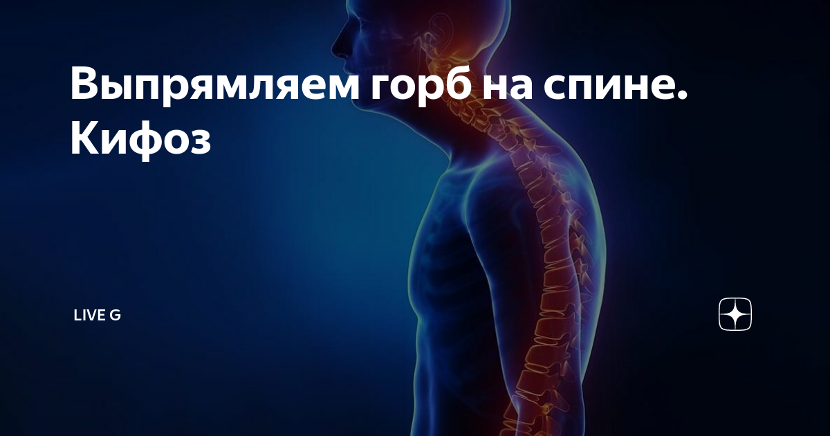 Как выпрямить горб. Фото горба в организме человека. что внутри позвоночника. красная штука внутри позвоночника.