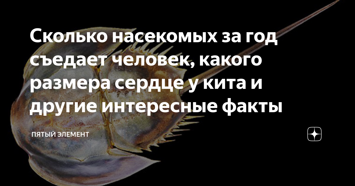 сколько тонн еды съедает человек за жизнь