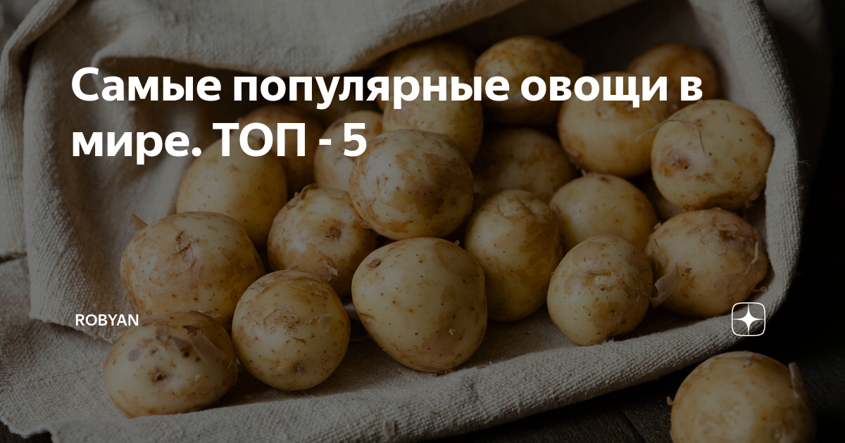 Самый распространенный овощ. Самый распространенный овощ