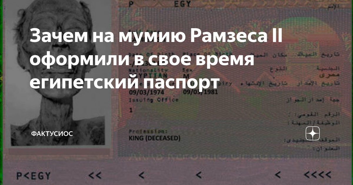 как выглядит египетский паспорт