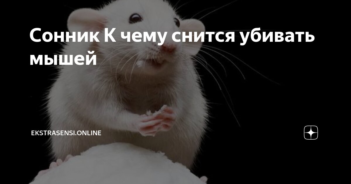 К чему снится что ты мышь. К чему снятся мыши. Сонник мышь. К чему снится хомяк. Приснился мышонок.