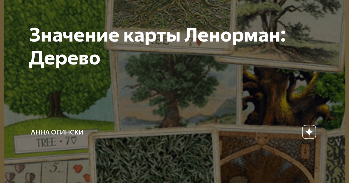 Значение карты Ленорман: Дерево | Анна Огински | Дзен