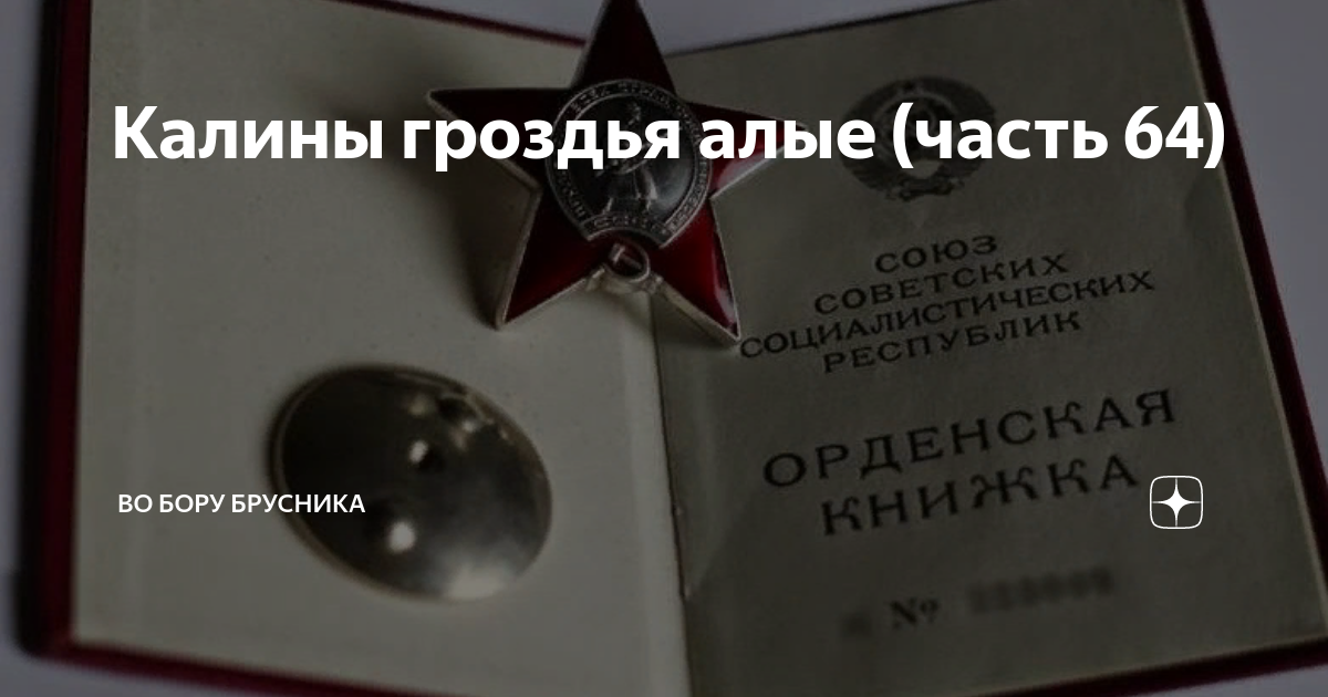 Калины гроздья алые рассказ