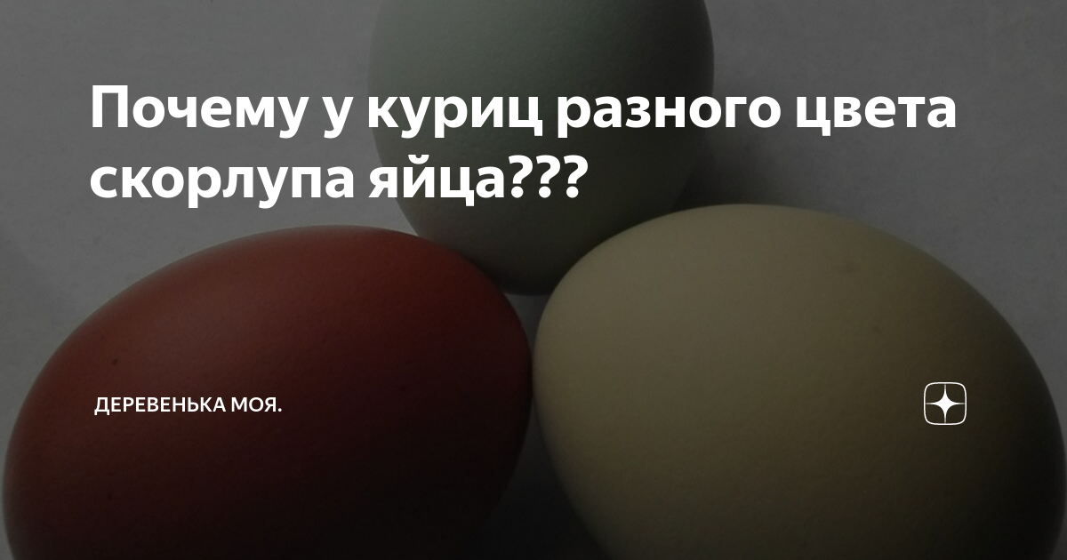 Почему птичьи яйца разных цветов?