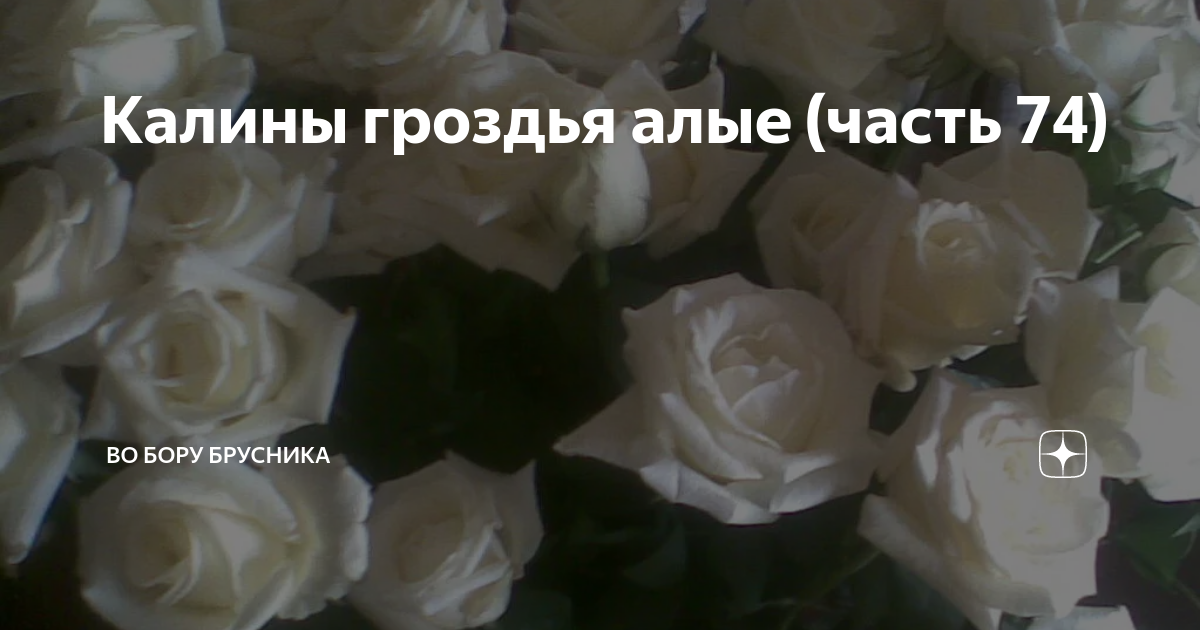 Калины гроздья алые рассказ