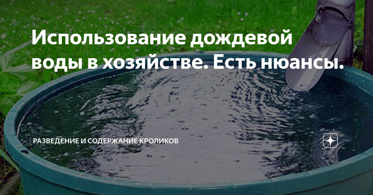 Какая вода чище дождевая или из скважины