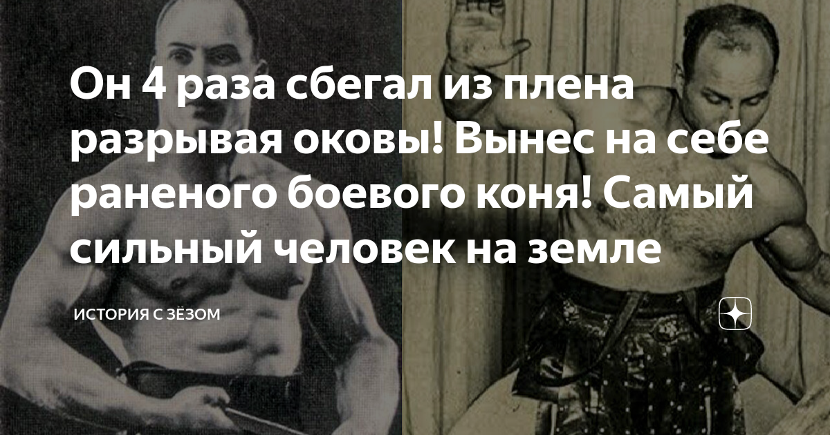 Книга разрывающий оковы. Андерсен разрывающий оковы. Кто не смог взять себе раненого коня