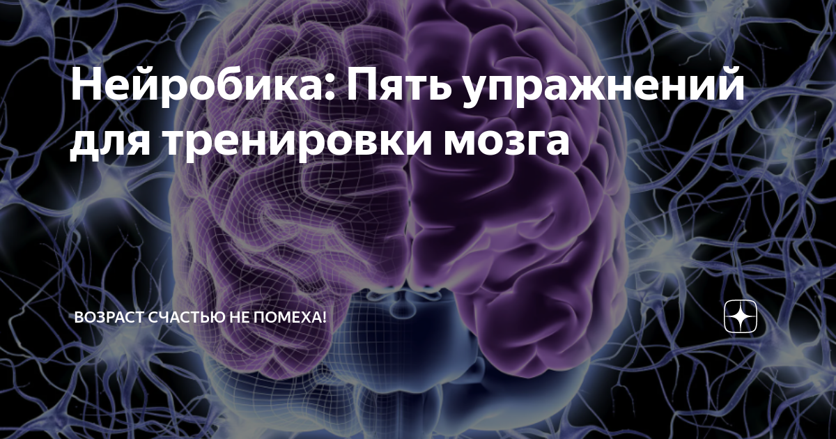 Нейробика: Пять упражнений для тренировки мозга | Возраст счастью не ...