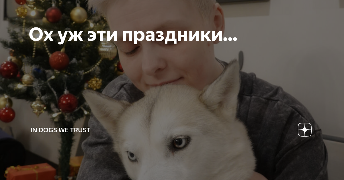 In dogs we trust дзен