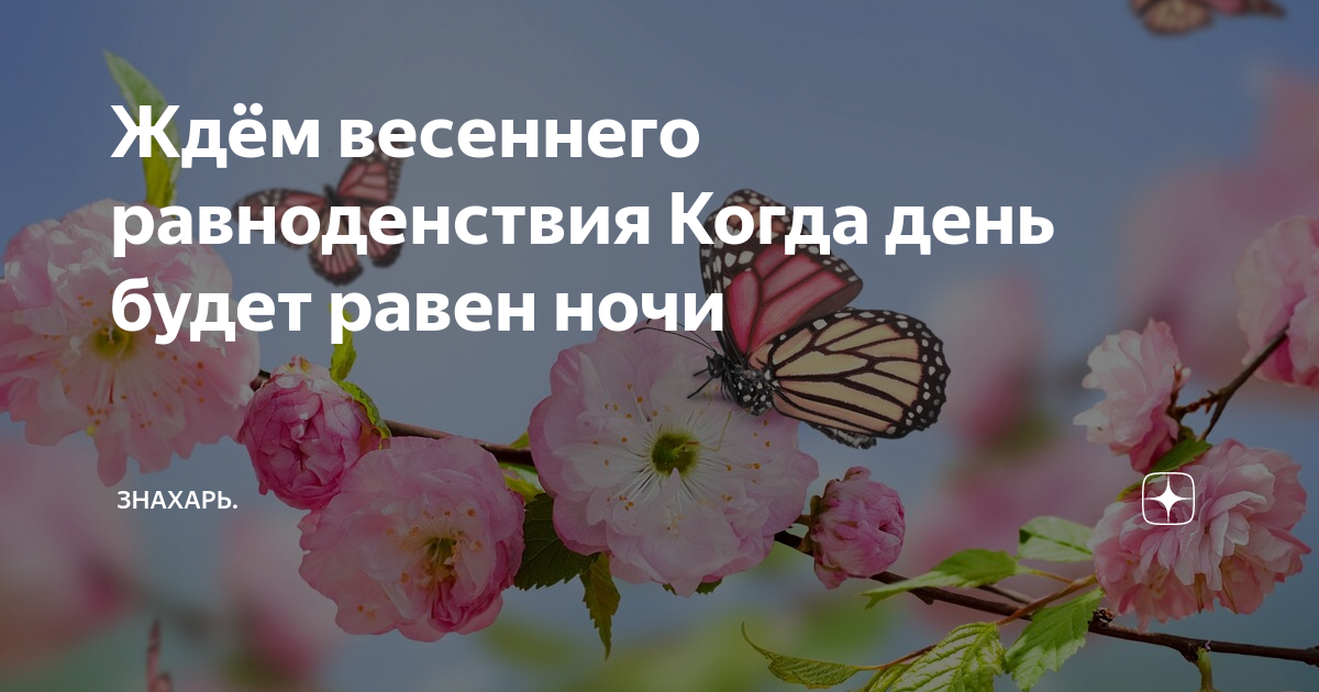 Когда день равен ночи. Копсиаые карьигки: жду весну.