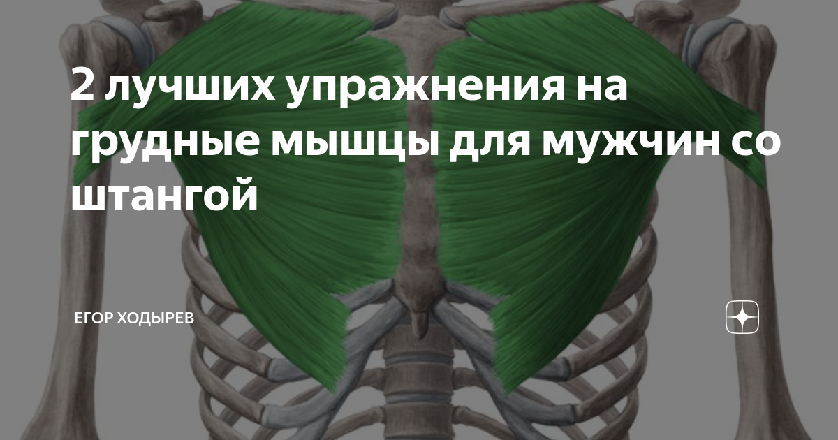 2 лучших упражнения на грудные мышцы для мужчин со штангой ...