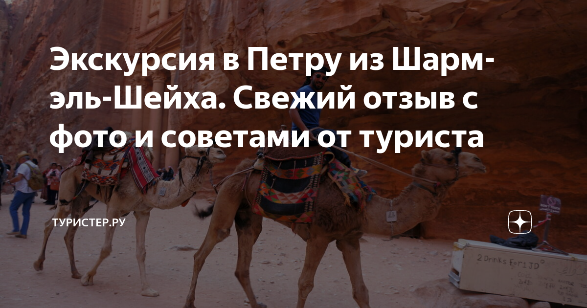 туры из шарм эль шейха в петру